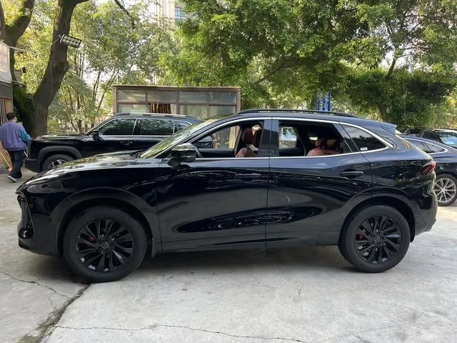 DONGFENG EVO T5 EVO 1 2022