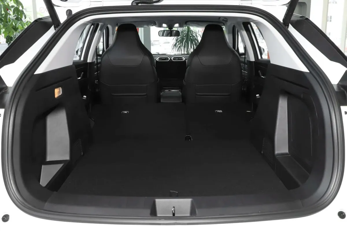 DONGFENG HAOHAN 2025