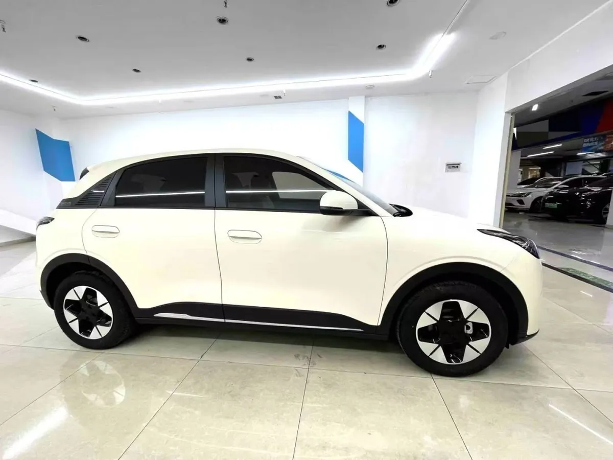 GEELY STARWISH 2025