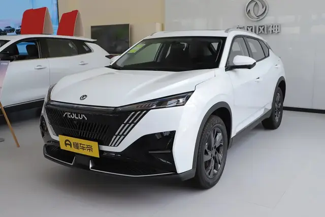 DONGFENG HAOHAN 2025