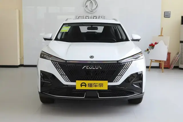 DONGFENG HAOHAN 2025