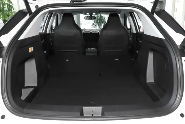 DONGFENG HAOHAN 2025