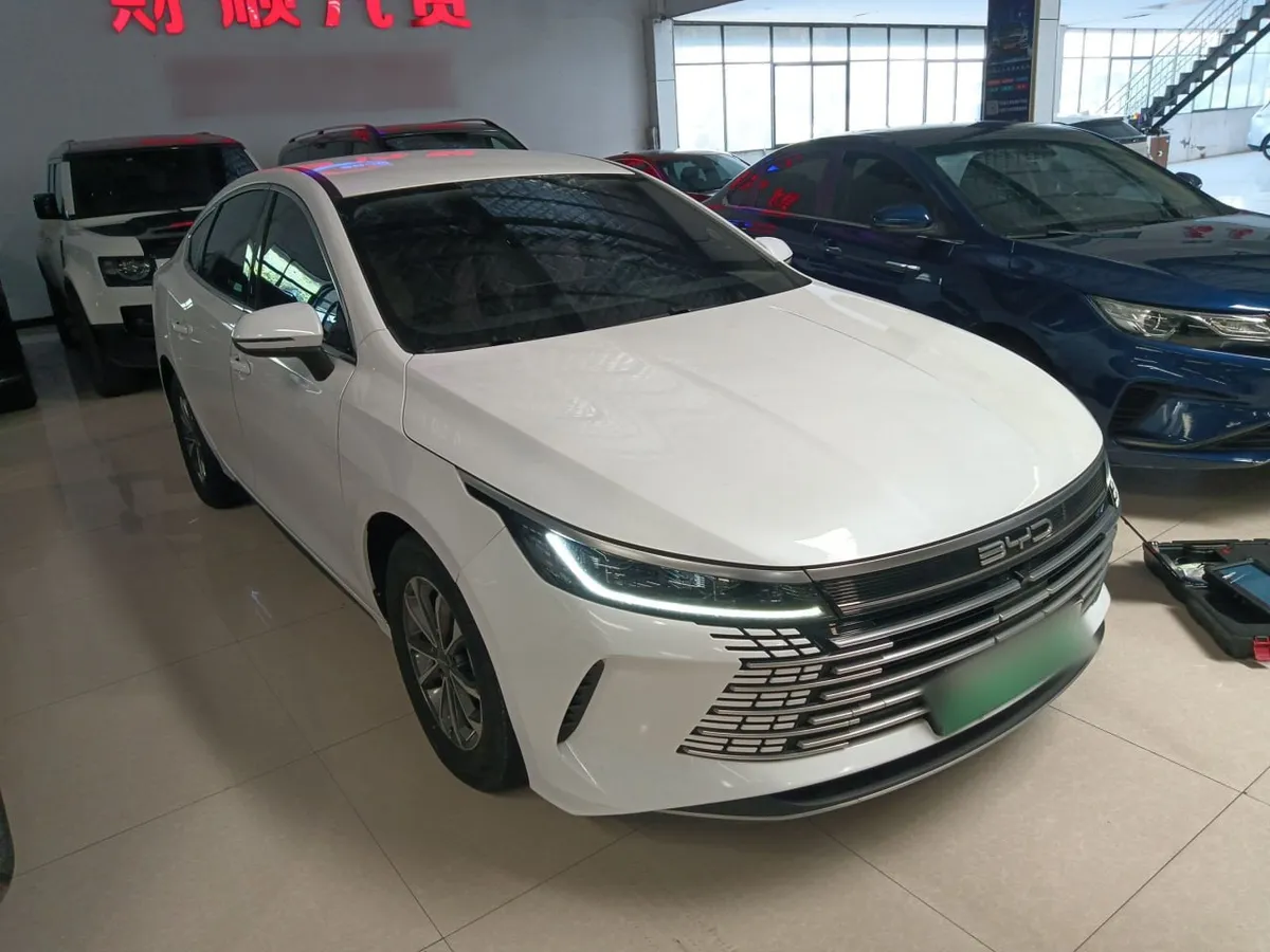BYD DESTROYER 05 2022
