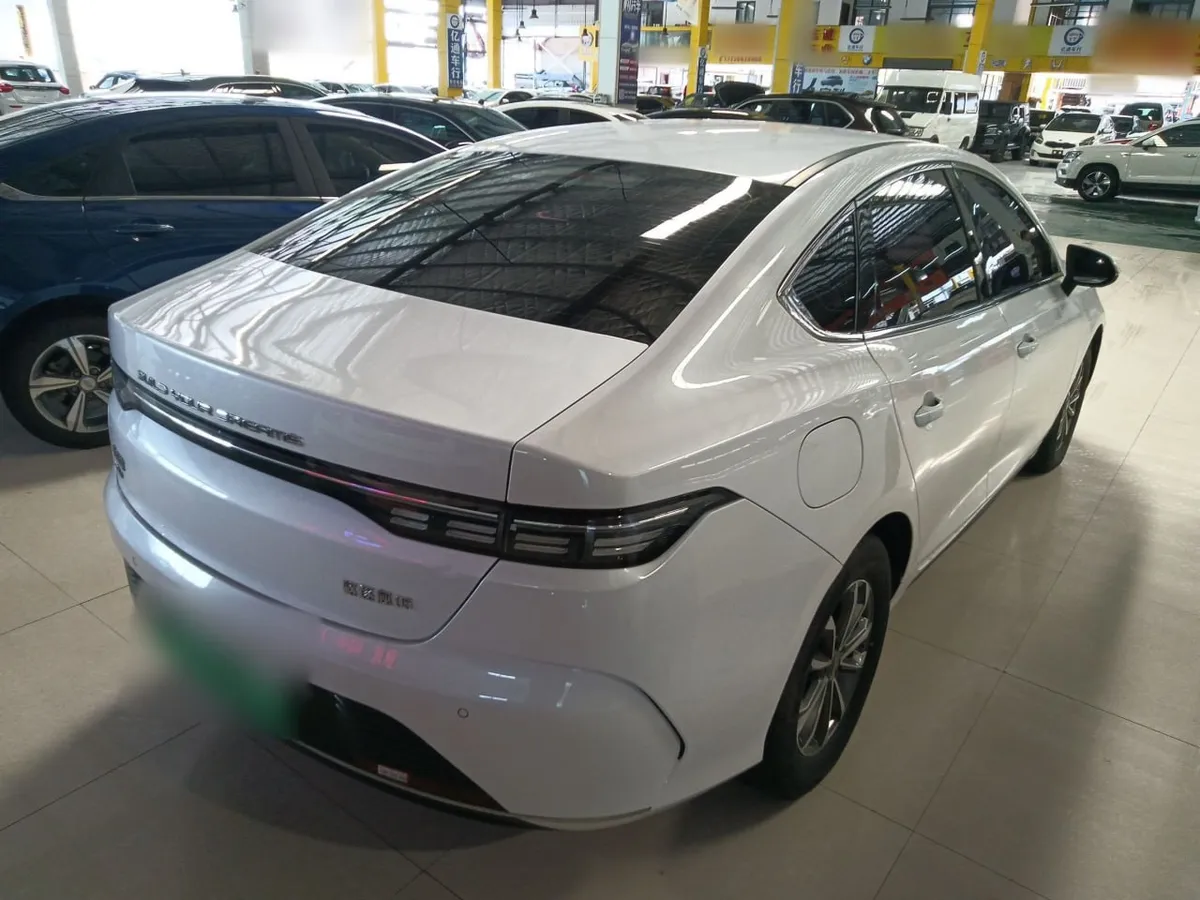 BYD DESTROYER 05 2022
