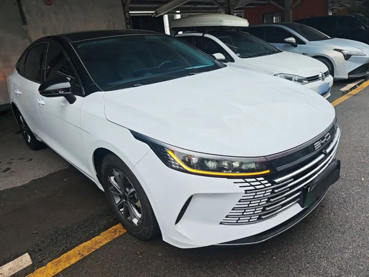 BYD DESTROYER 05 2023