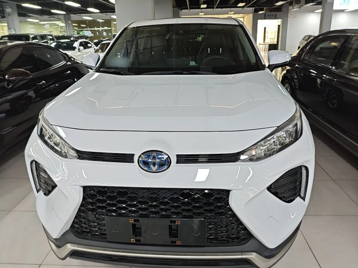TOYOTA WILDLANDER 2021