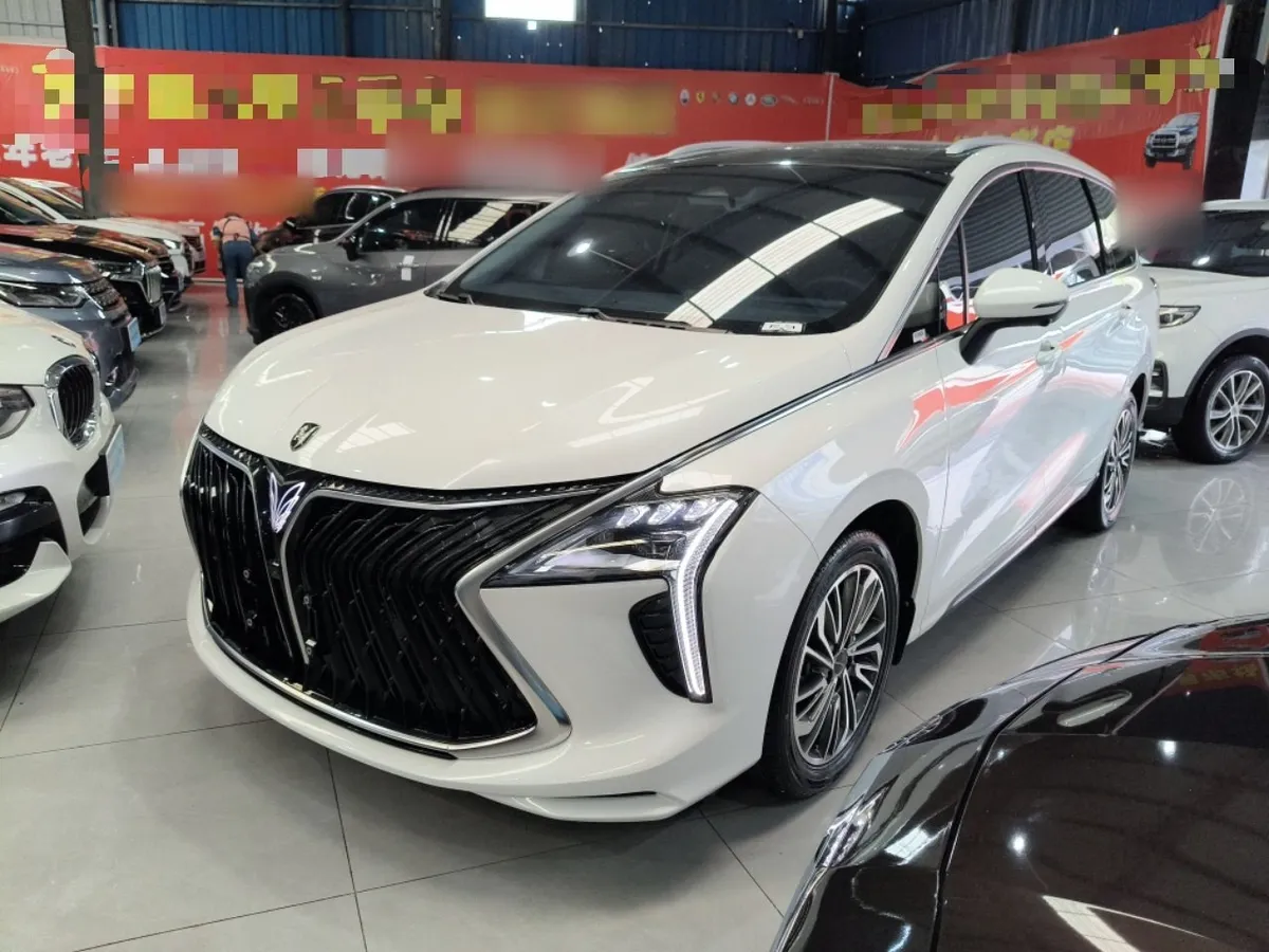DONGFENG FORTHING YACHT 2023
