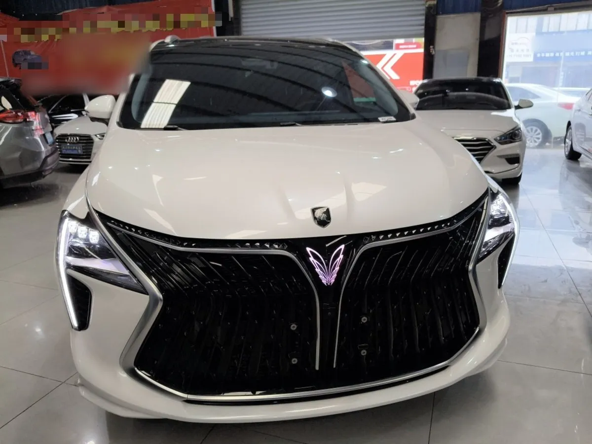 DONGFENG FORTHING YACHT 2023