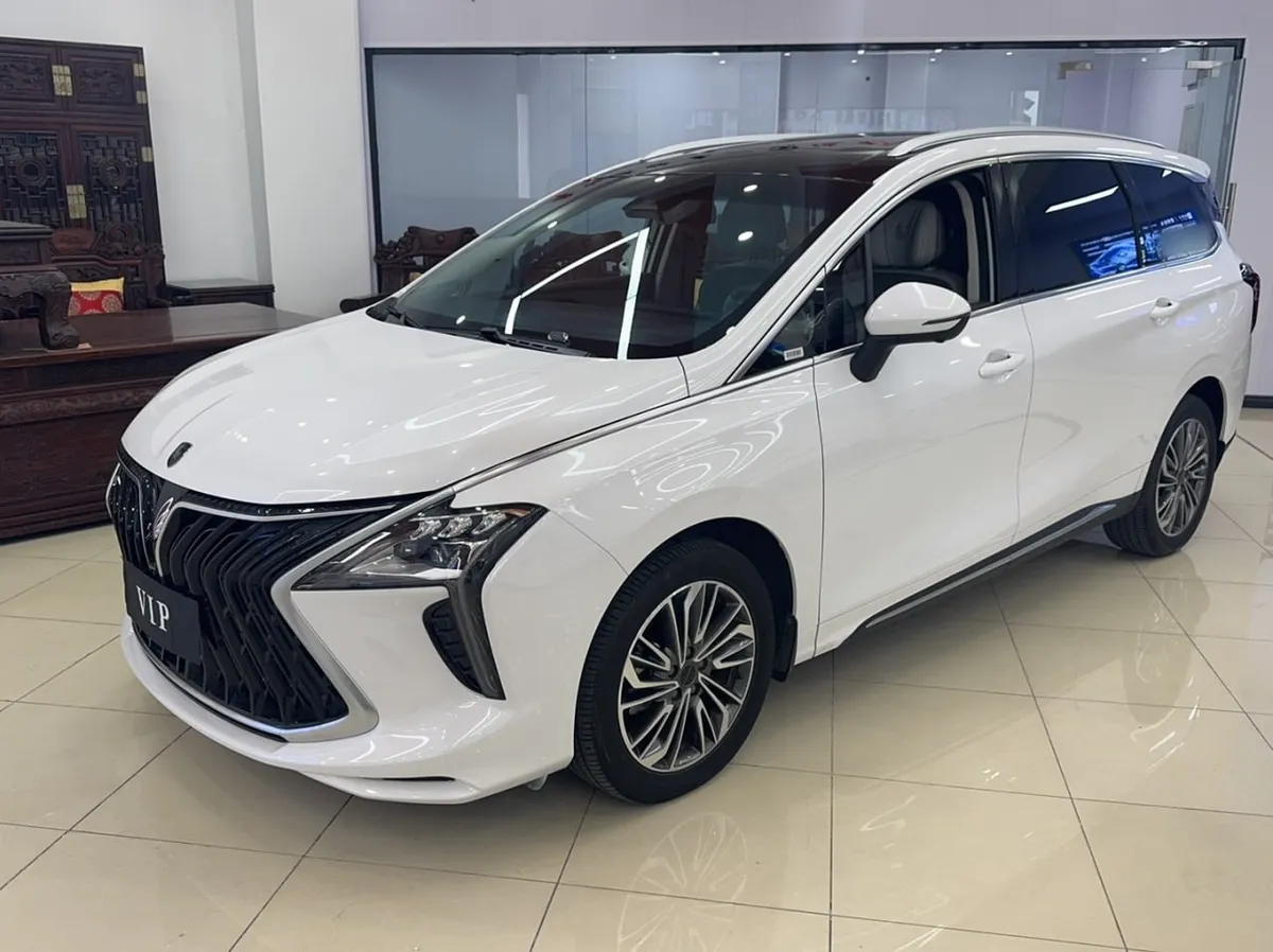 DONGFENG FORTHING YACHT 2023