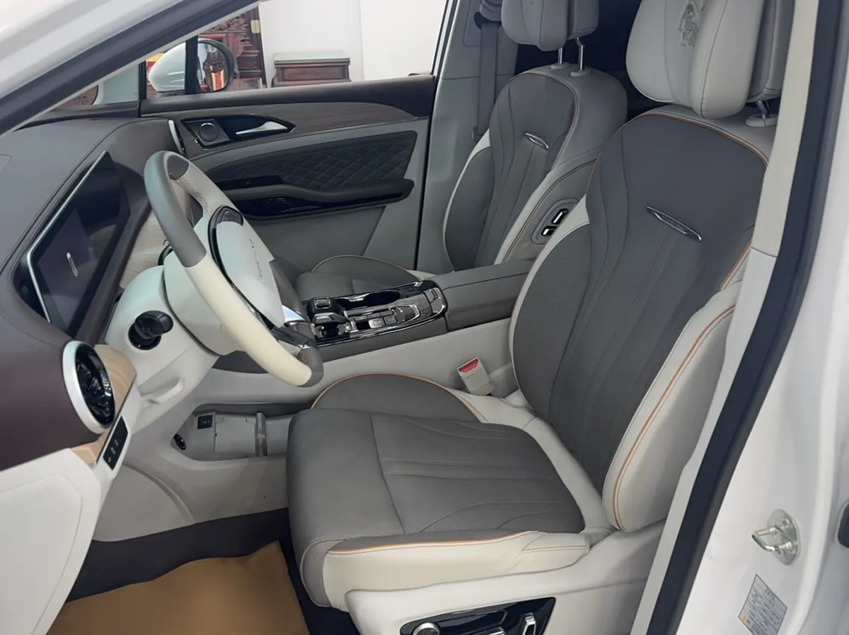 DONGFENG FORTHING YACHT 2023