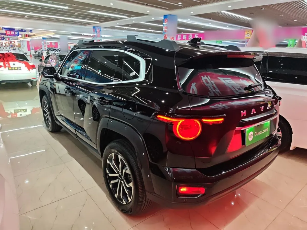 HAVAL H DOG 2024