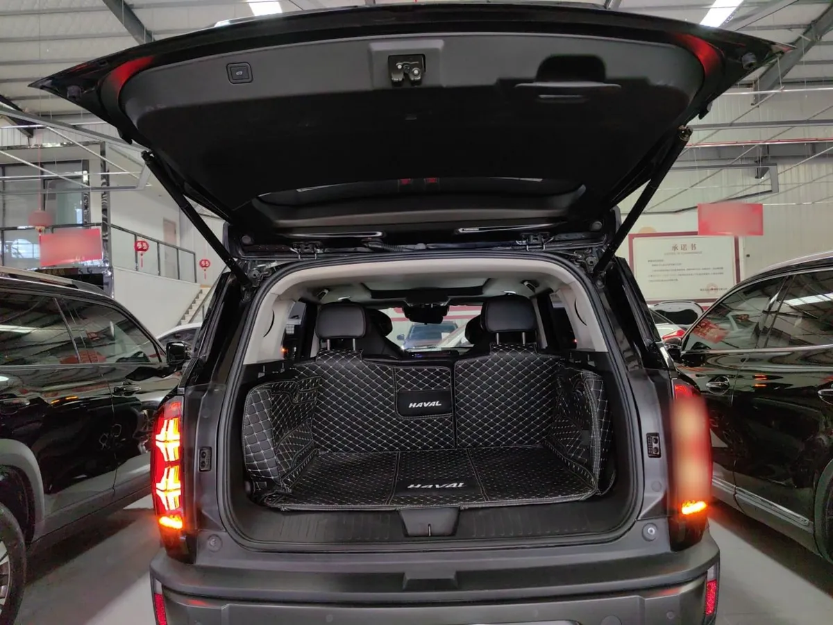 HAVAL X DOG 2022