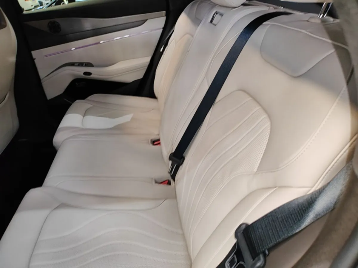 DENZA N7 LUXURY 2025
