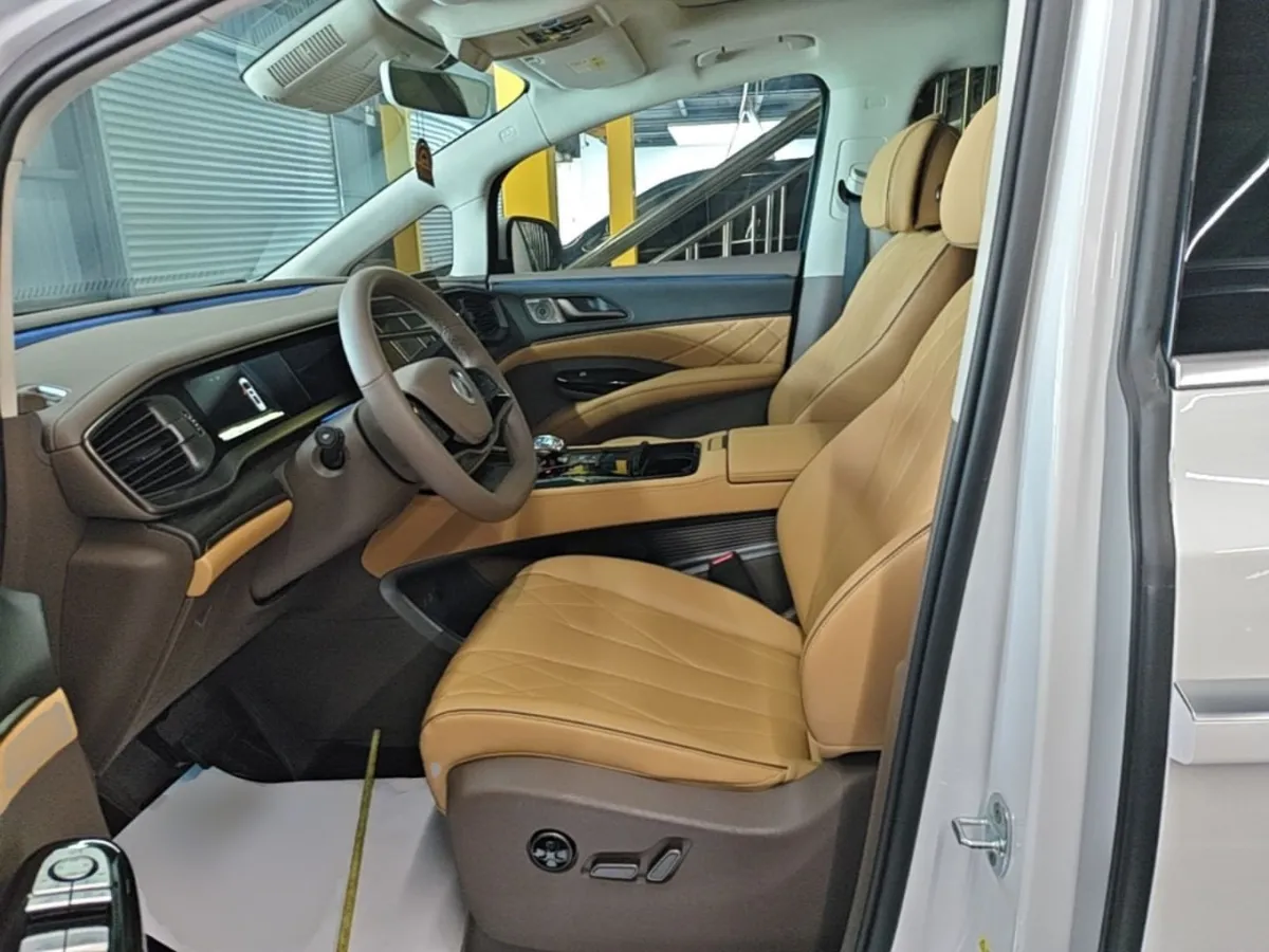 DENZA D9 2023