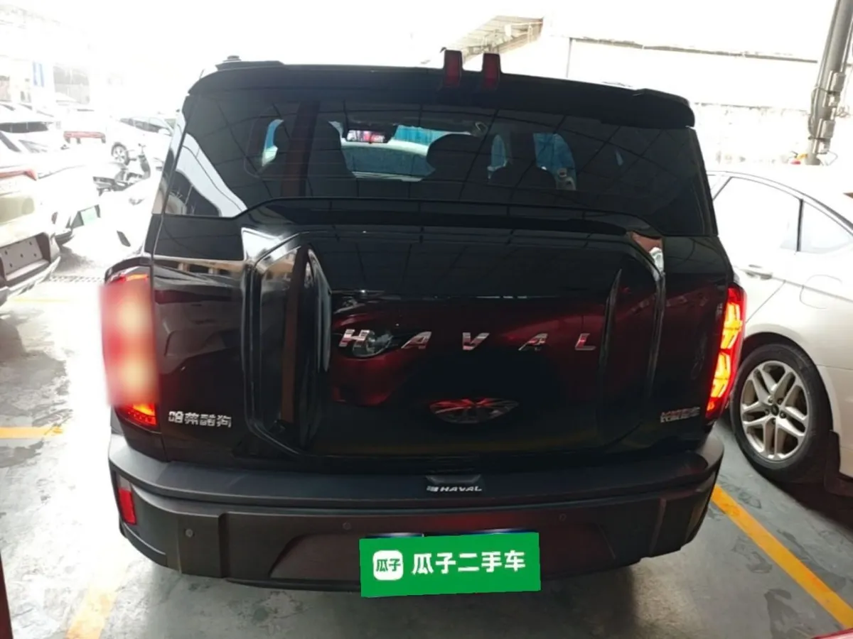 HAVAL X DOG 2022
