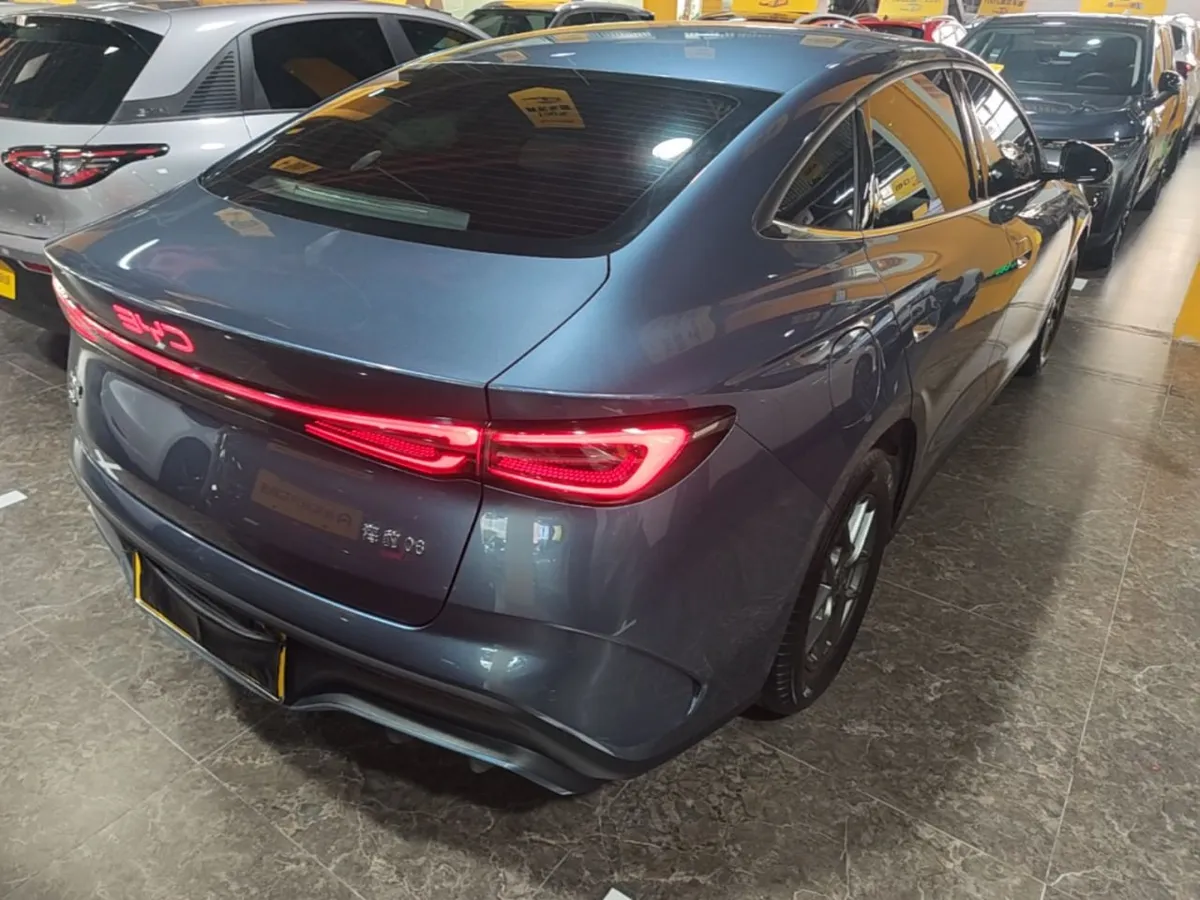 BYD SEAL LUXURY 2024