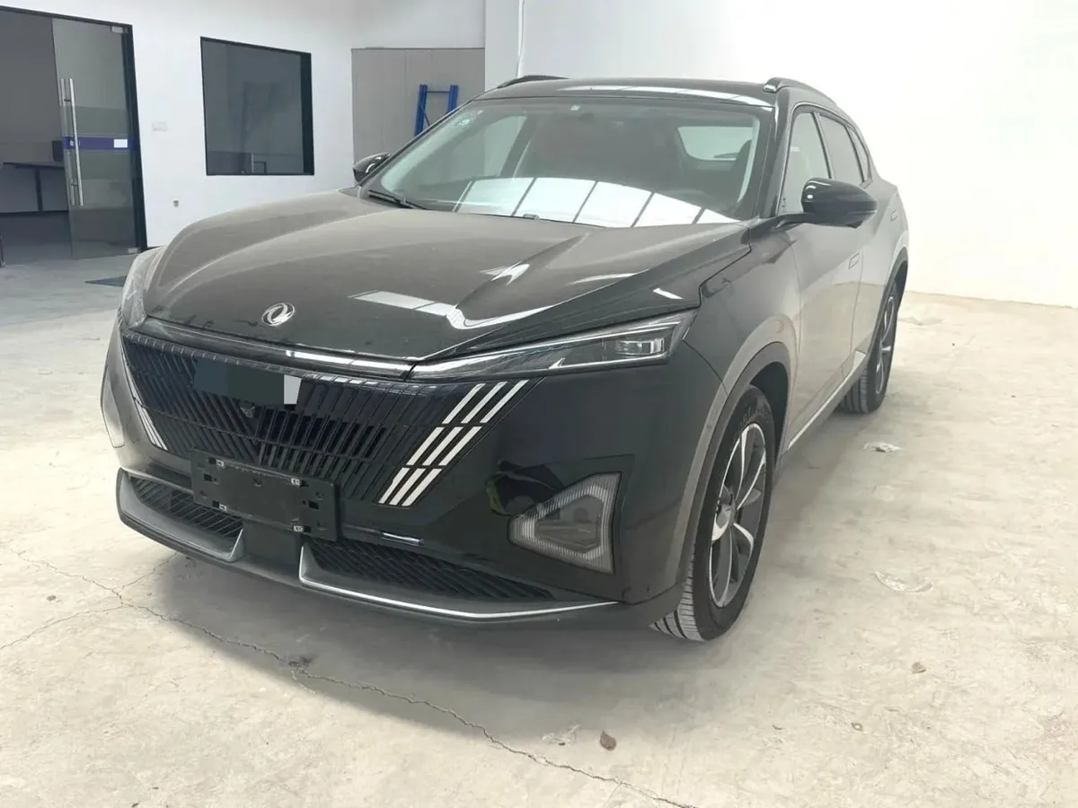 DONGFENG AEOLUS MAGE LUXURY 2023