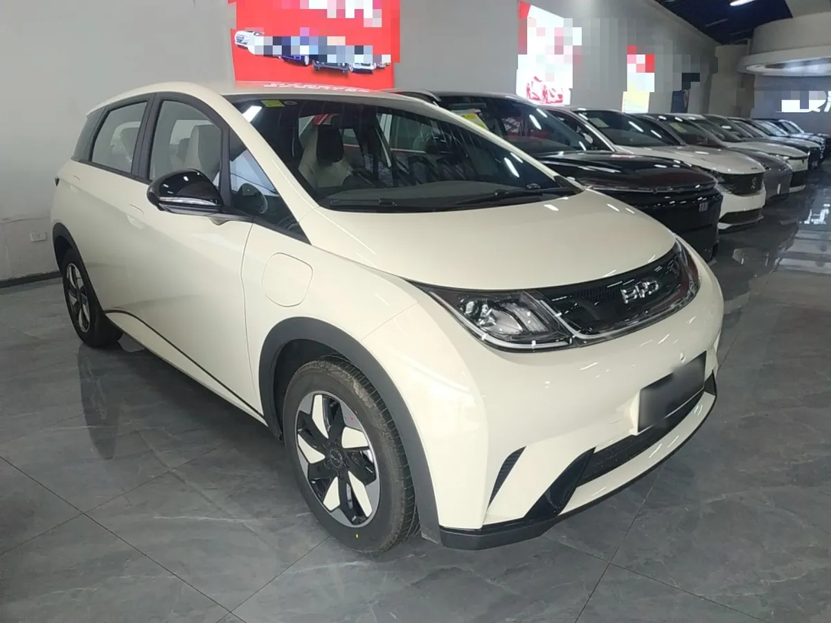 BYD DOLPHIN 2025