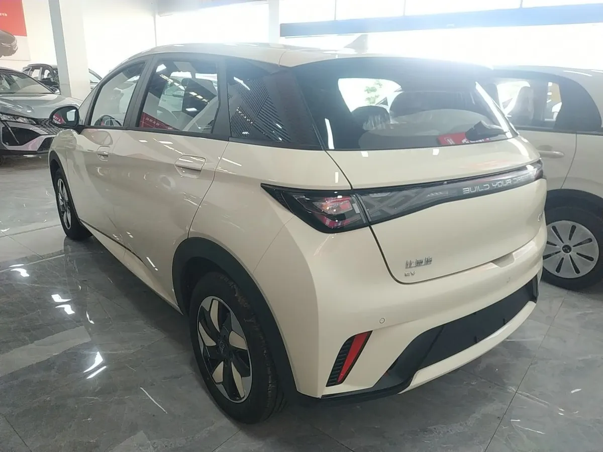 BYD DOLPHIN 2025