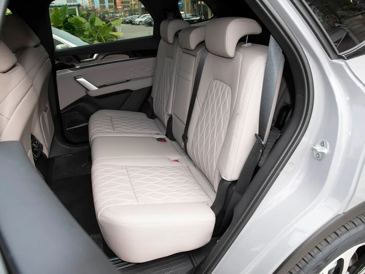 BYD TANG PREMIUM 2025