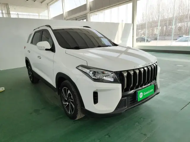 DONGFENG FENGON S560 2021