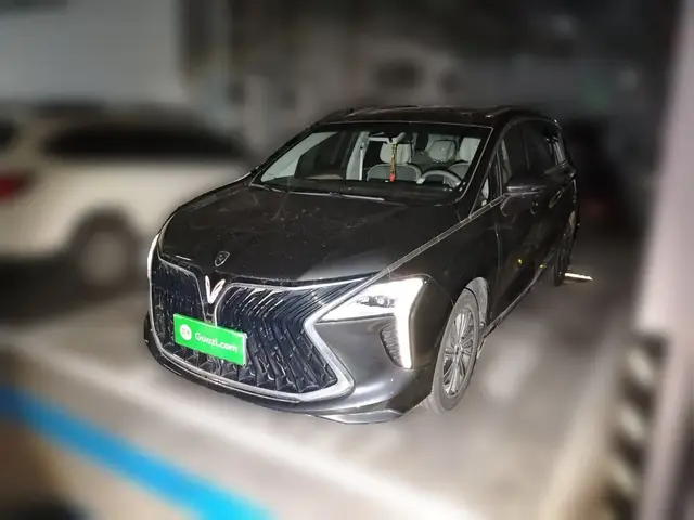 DONGFENG FORTHING YACHT 2023