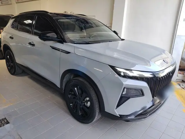 DONGFENG AEOLUS HUGE 2022