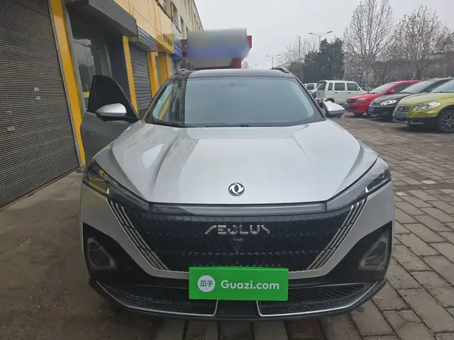 DONGFENG AEOLUS MAGE 2024