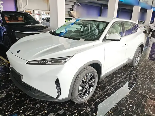 DONGFENG AEOLUS SKY EV01 2025