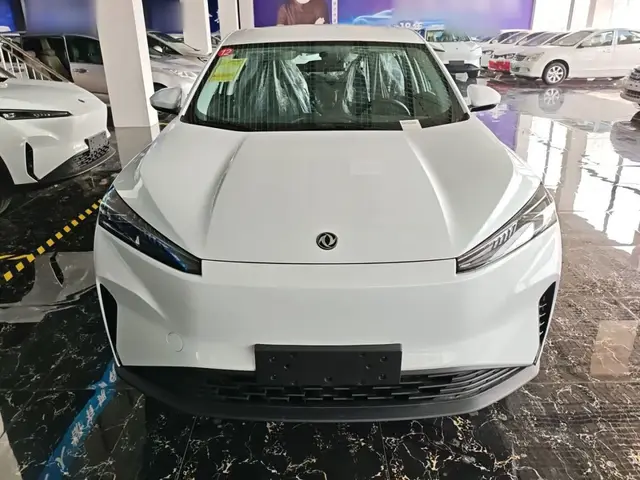 DONGFENG AEOLUS SKY EV01 2025