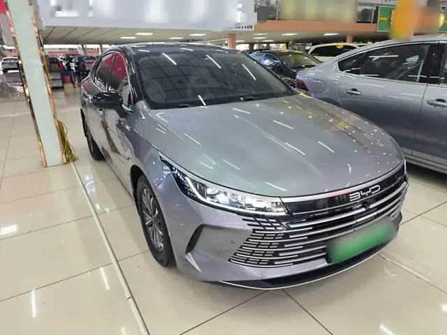 BYD DESTROYER 05 2023