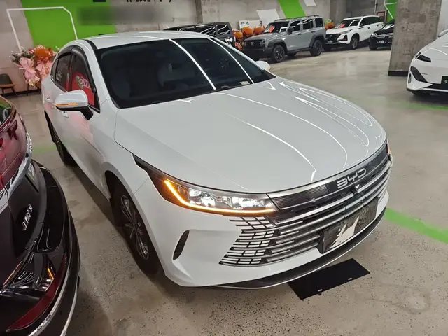 BYD DESTROYER 05 2023