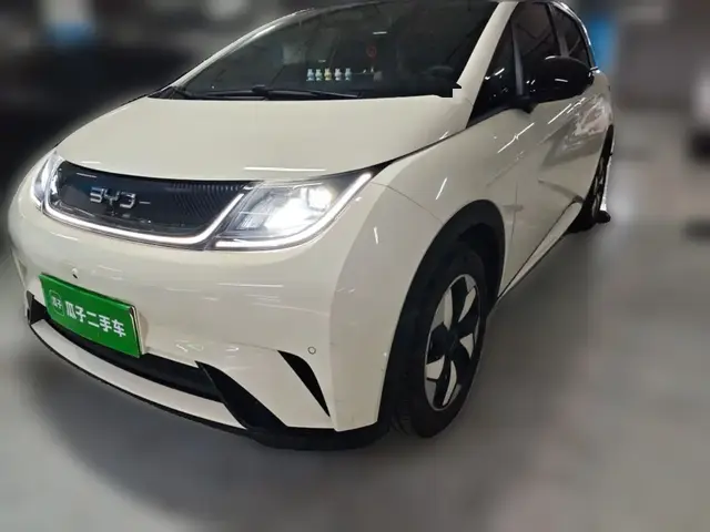 BYD DOLPHIN 2024