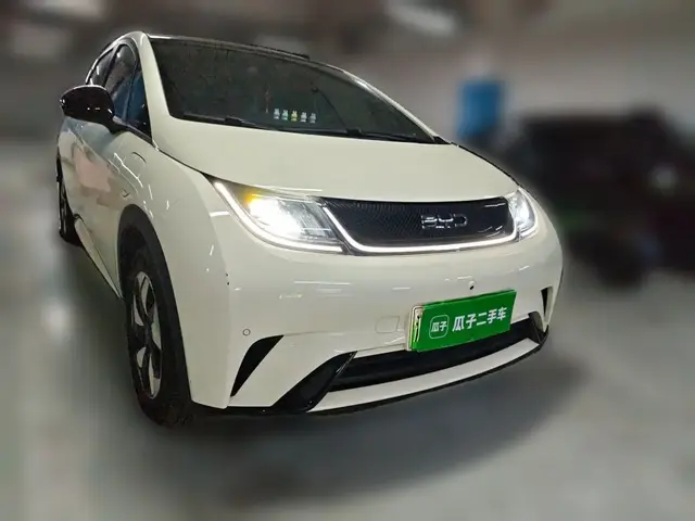 BYD DOLPHIN 2024