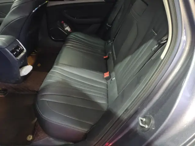 HONGQI H5 2022