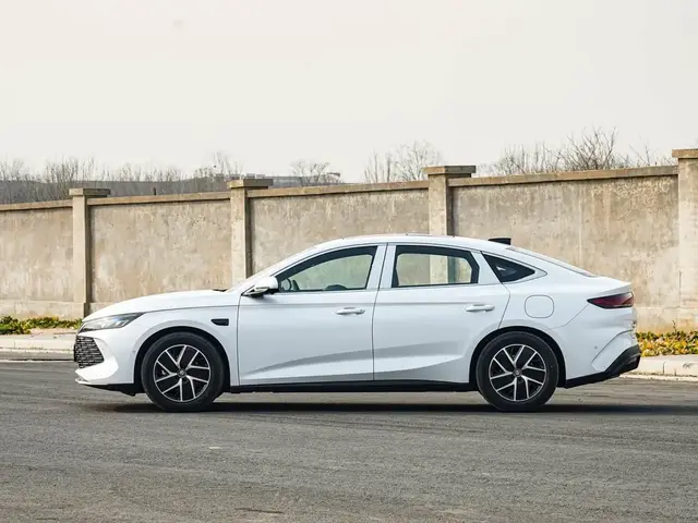 BYD QIN L 2025