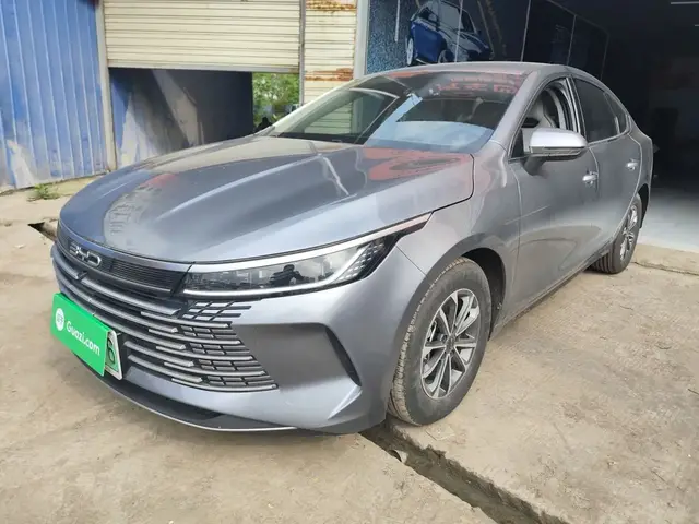 BYD DESTROYER 05 2024