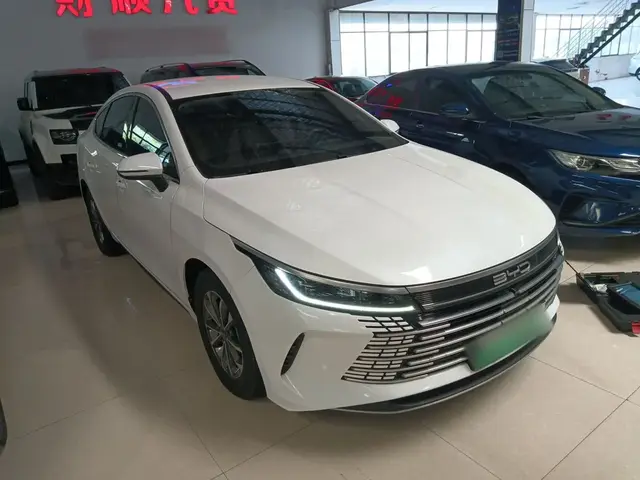 BYD DESTROYER 05 2022