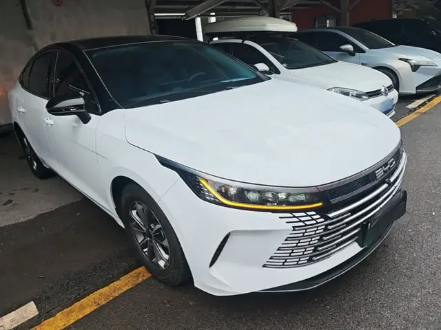 BYD DESTROYER 05 2023