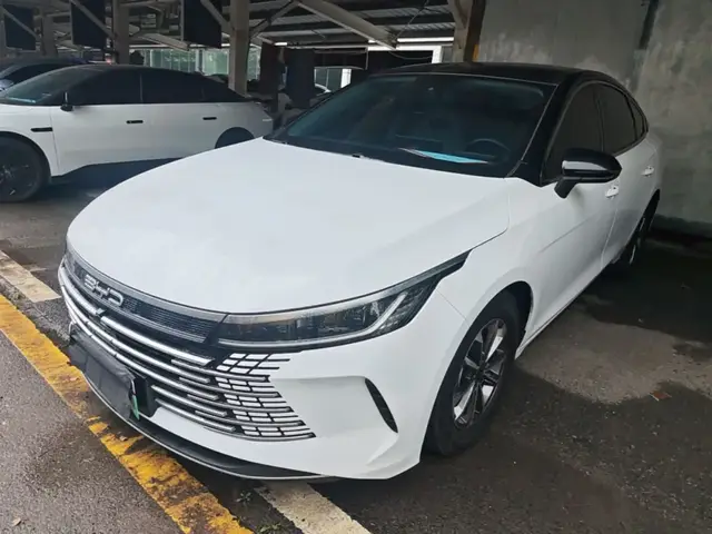 BYD DESTROYER 05 2023