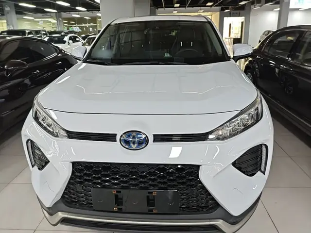 TOYOTA WILDLANDER 2021