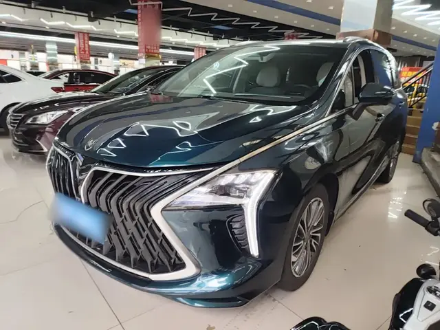 DONGFENG FORTHING YACHT 2023