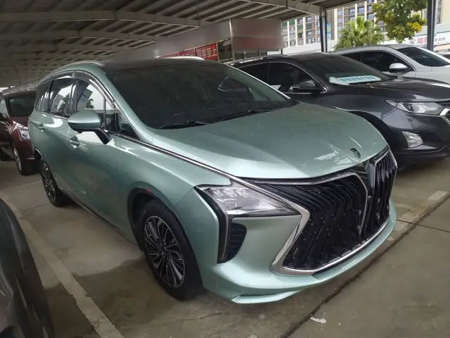 DONGFENG FORTHING YACHT 2022