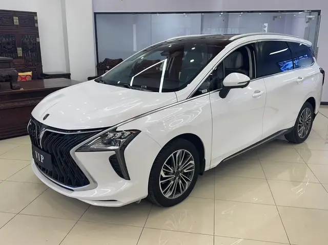 DONGFENG FORTHING YACHT 2023