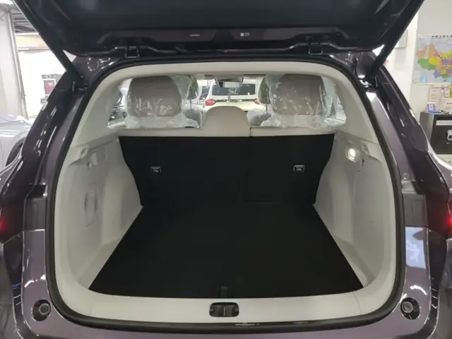 LEAPMOTOR B10 2025