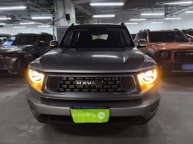 HAVAL H DOG 2023