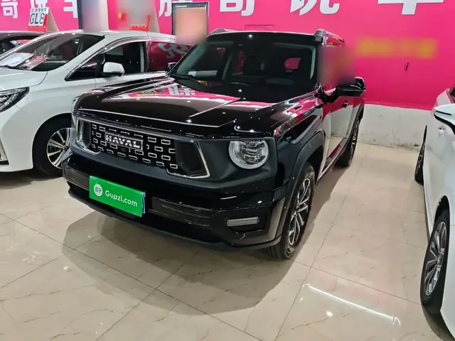 HAVAL H DOG 2024