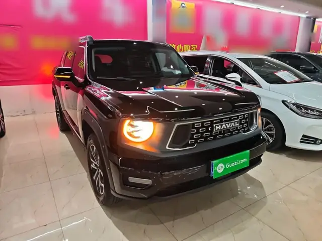 HAVAL H DOG 2024