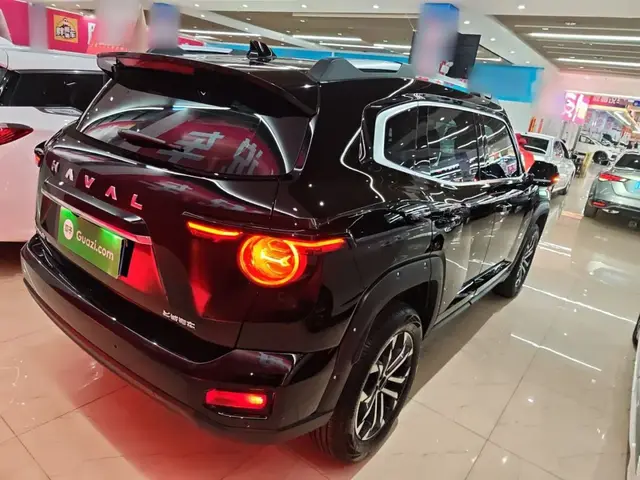 HAVAL H DOG 2024