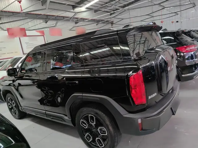 HAVAL X DOG 2022